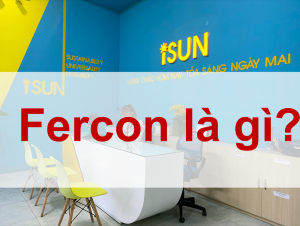 Fercon nghĩa là gì ?