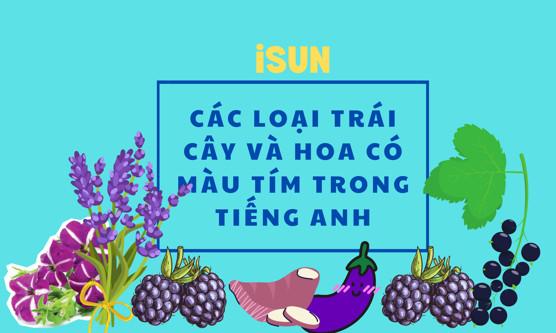 CÁC LOẠI TRÁI CÂY VÀ HOA CÓ MÀU TÍM TRONG TIẾNG ANH