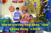 Một số trường hợp dùng “that” không dùng “which”