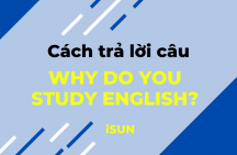 Why do you study English ?