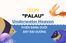 PALAU  Underwater heaven