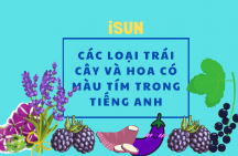 Từ vựng về các loại trái cây và hoa có màu tím trong tiếng Anh